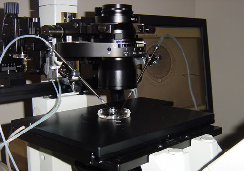 ICSI Intracytoplasmic Sperm Injection equipment