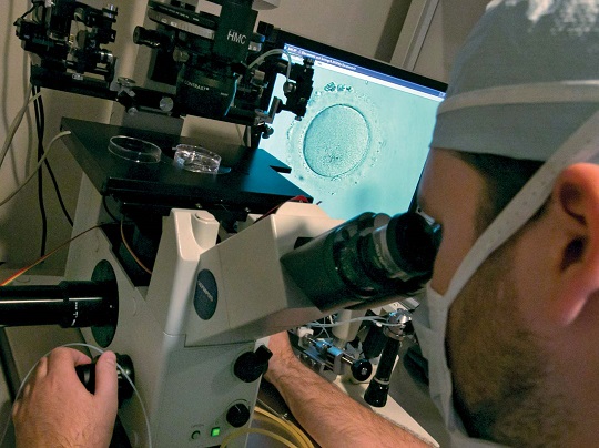 About in vitro fertilization